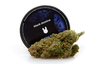 flores de cbd hidroponicas, genética black domina, con envase detrás. sobre fondo blanco