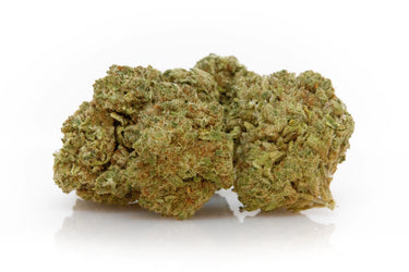 2 cogollos de Flores de CBD hidropónicas sobre fondo blanco