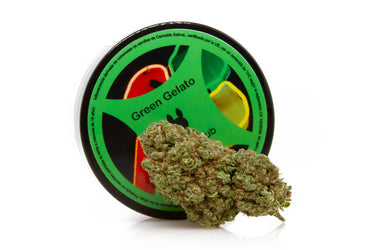 cogollo de marihuana legal variedad green gelato junto con su envase en fondo blanco