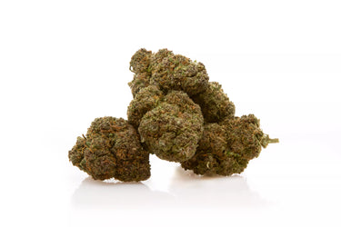 4 FLORES DE CBD amontonadas sobre fondo blanco