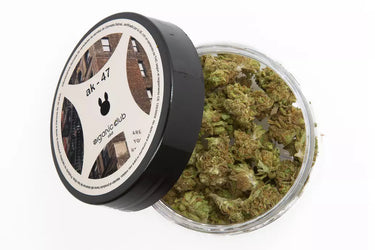 cogollos de cbd junto con su tarro en fondo blanco. Precio incomparable. Calidad premium