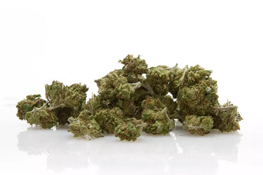 pop corn de flores de cbd 100% legales en fondo blanco