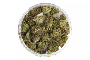 pop corn de CBD variedad ak-47 ideal para la ansiedad