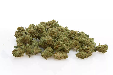 smallbuds de cbd indoor sobre fondo blanco. Genética Cali Haze 