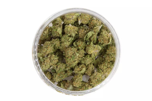 Cogollos pequeños de flores de CBD dentro de su tarro, de variedad cali haze. Las smallbuds están fotografiadas en fondo blanco.