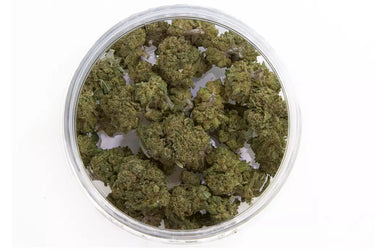 flores de cbd en formato pop corn indoor en su tarro con fondo blanco