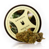 cogollo de CBD, variedad amnesia, sobre superficie blanca brillante, con su su envase circular de fondo