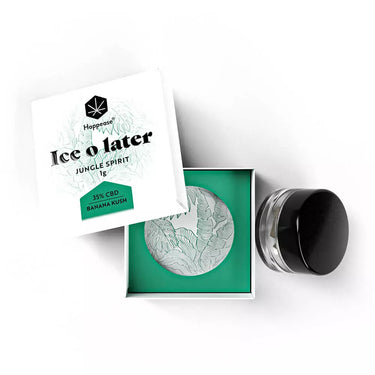 extracción de hachís variedad ice o later  en fondo blanco