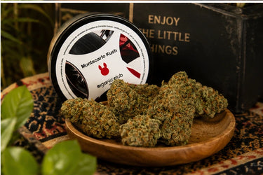 MONTECARLO KUSH
