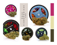 PACK DEGUSTACIÓN 15g (Hydro)