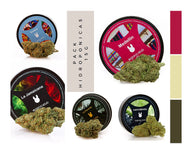 PACK DEGUSTACIÓN 15g (Hydro)