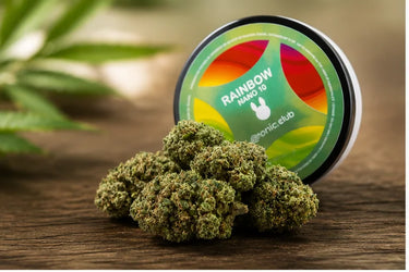 RAINBOW - Nano 10