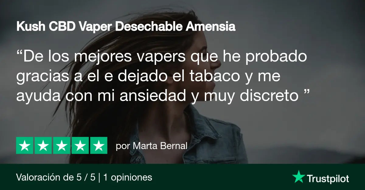 reseña de vape desechable 5 estrellas