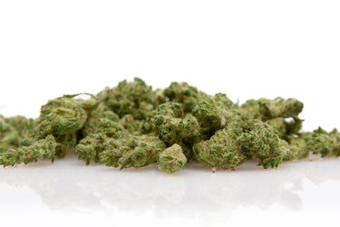 cogollos pequeños de cbd variedad hidróponica zkittle sobre fondo blanco