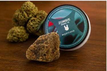 ZOMBIE - Nano10