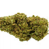 cogollo de variedad indoor de cbd white siberian sobre fondo blanco